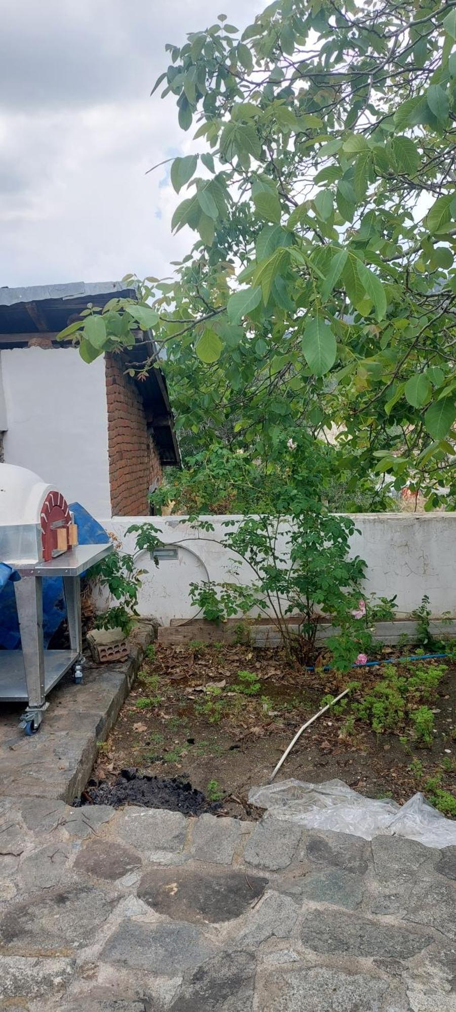 Gpph